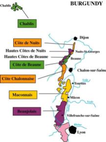 Burgundy's Wine Route Map, France