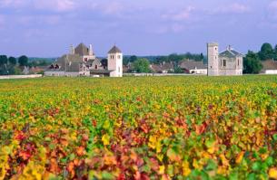 Wine Route, Côte d’Or, Burgundy, France