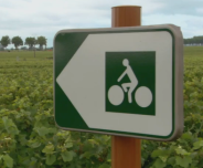 Bicycle Route, Vineyards, Côte d’Or, Burgundy, France