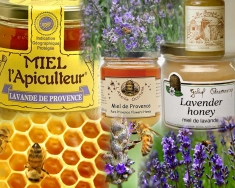 Honey (Miel) from Provence, France